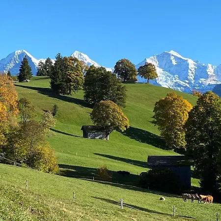 Snowflake Appartement Leissigen