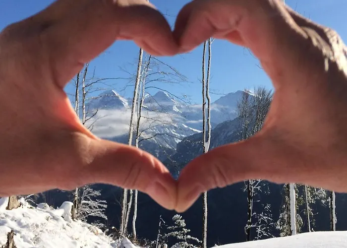 Apartament Snowflake