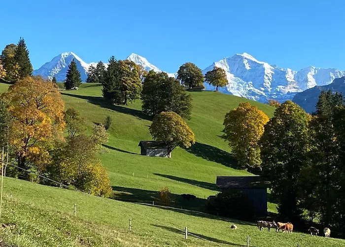 Snowflake דירה Leissigen