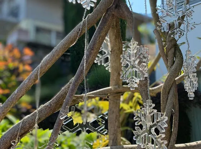 Snowflake דירה *