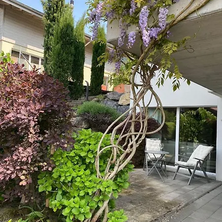 Snowflake Daire Leissigen