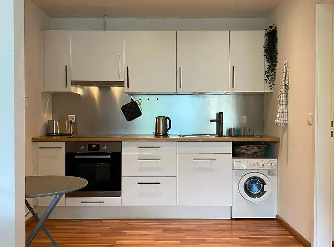 Snowflake * Leissigen